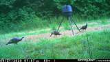 001 Farr Road - Photo 110