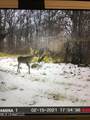 001 Farr Road - Photo 124