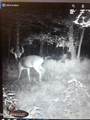 001 Farr Road - Photo 128