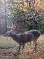 001 Farr Road - Photo 129