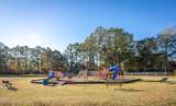 10415 Pin Oak Drive - Photo 67
