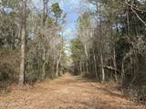 1208 De La Pointe Drive - Photo 49
