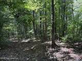  County Road 180 - Photo 14