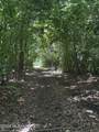  County Road 180 - Photo 15