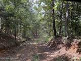  County Road 180 - Photo 16
