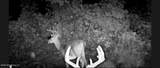  County Road 180 - Photo 5