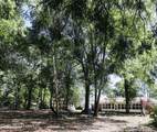 14143 Lumpkin Road - Photo 47
