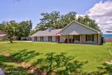 10415 Pin Oak Drive - Photo 3