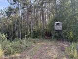  Mississippi 9 - Photo 22