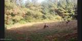  Mississippi 9 - Photo 29