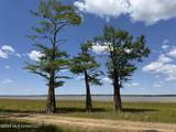 21 County Road 187 - Photo 3