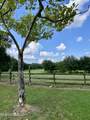 299 Quitman Perry Road - Photo 60