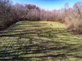 3114 County Road 212 - Photo 133