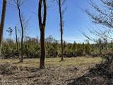 3114 County Road 212 - Photo 165