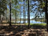 1208 De La Pointe Drive - Photo 2