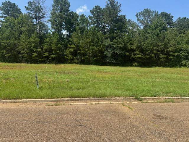 Lot 4 Business Center Drive - Photo 1