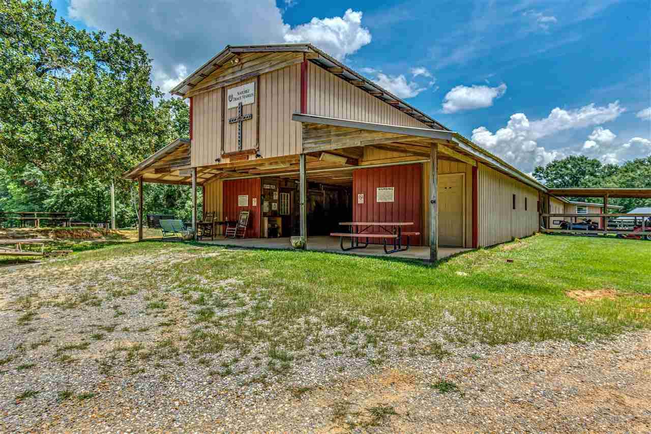 503 Pat Luckett Road - Photo 1