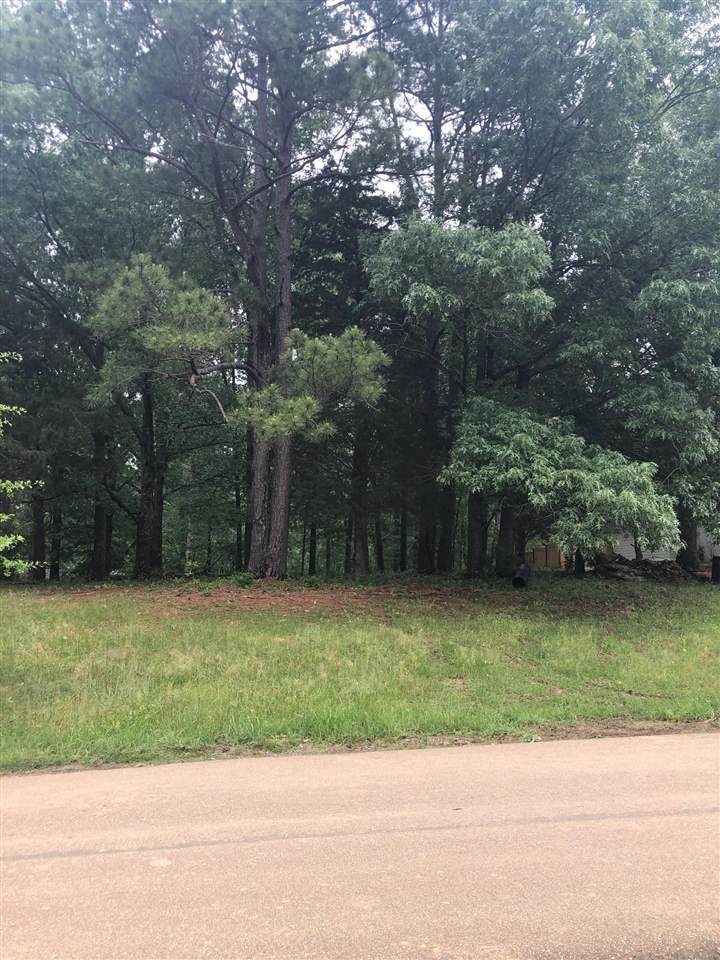 227 Oakside Trail - Photo 1