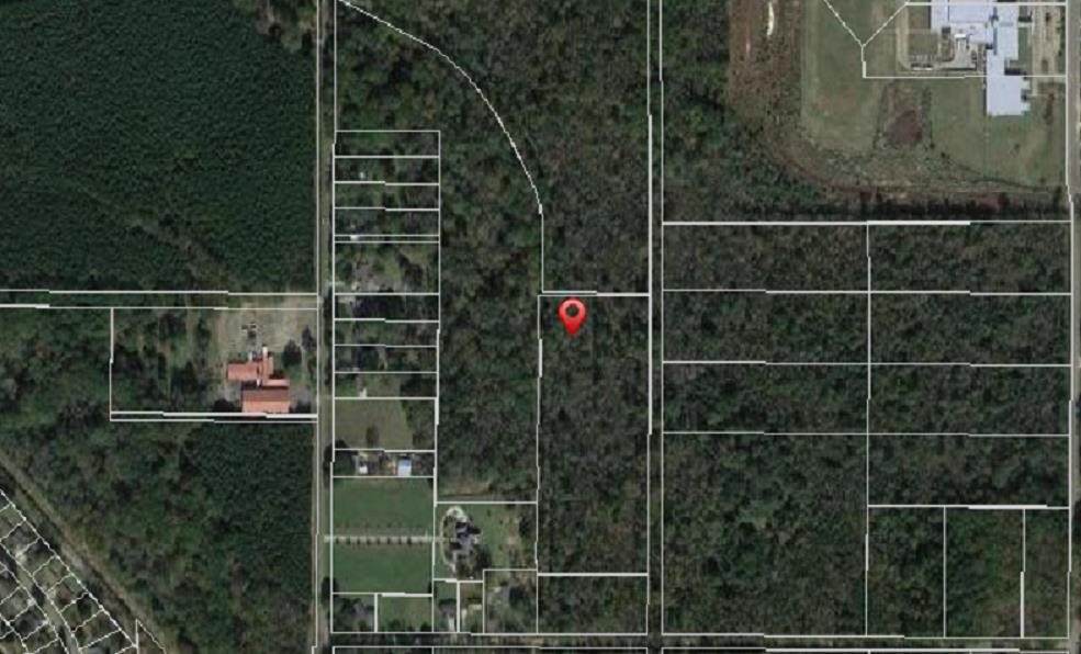 0 Hanging Moss Road - Photo 1