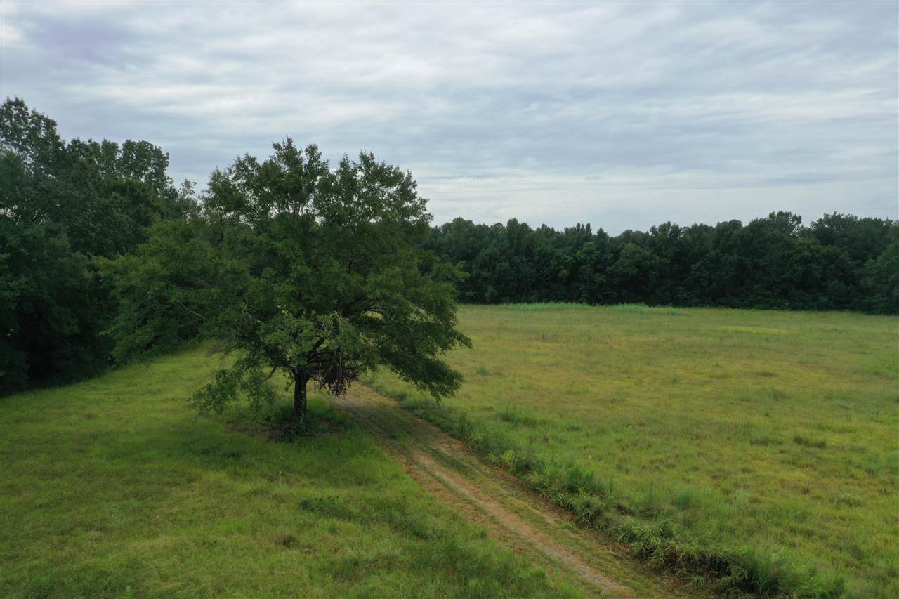 Hampton Hills Boulevard - Photo 1