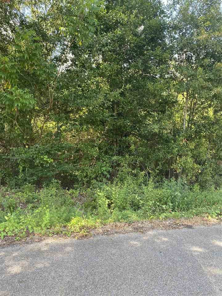 0 Johnston Cove - Photo 1