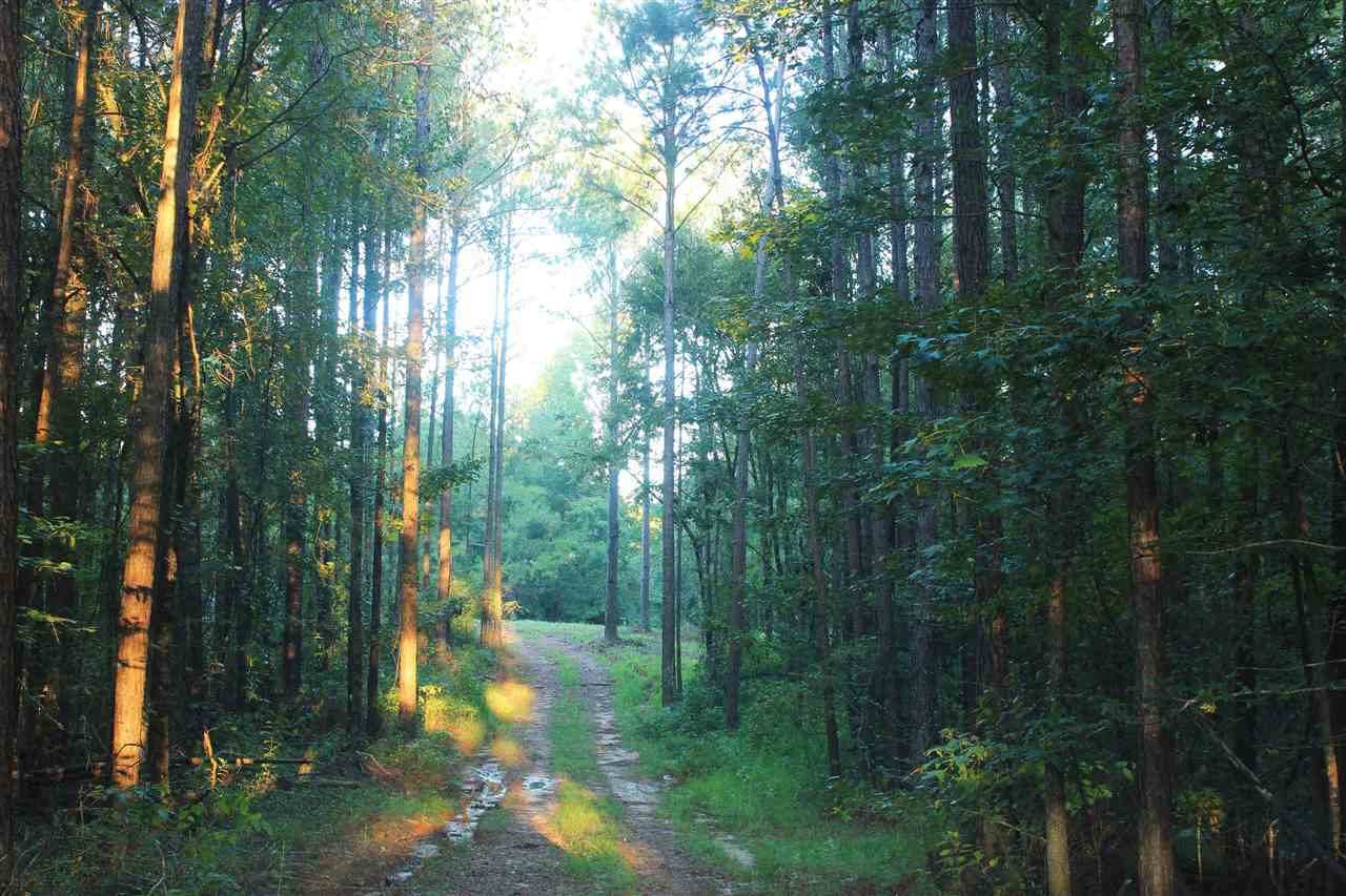 00 Highway 43 - Photo 1