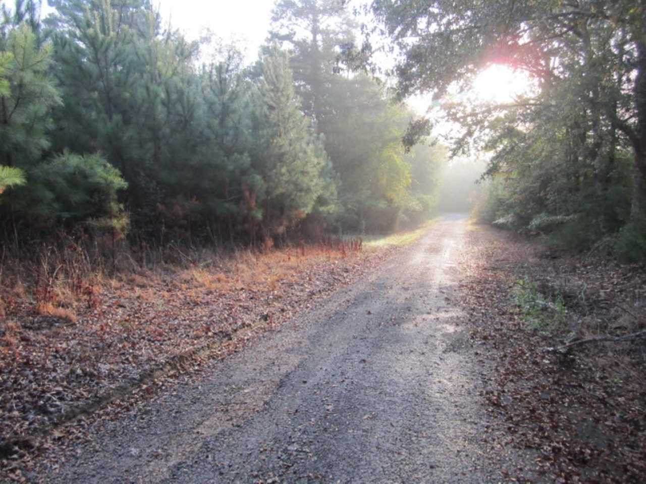 45 Mtd Drive - Photo 1