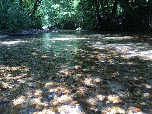 . Givens Mullins Road - Photo 1