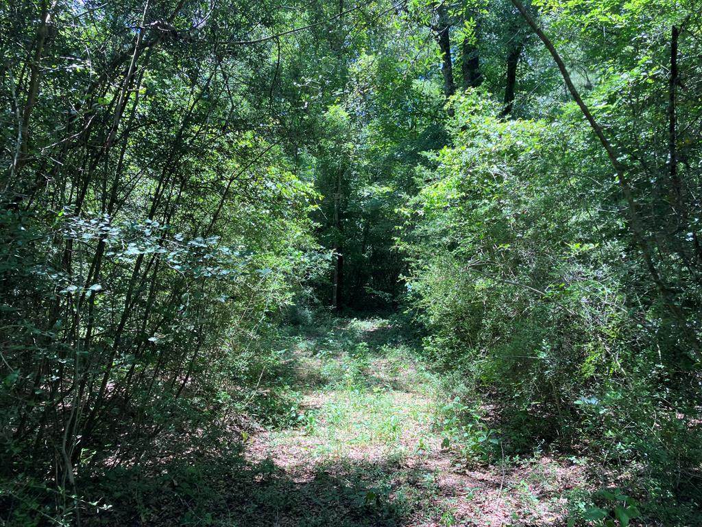  Hwy 48 - Photo 1