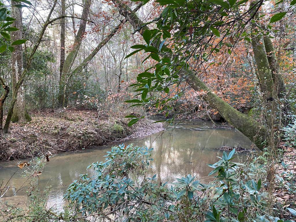 TBD Ms-568 - Photo 1