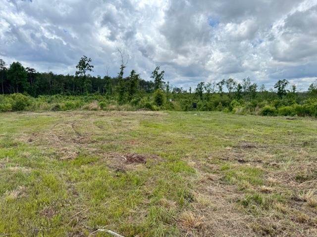00 Dewitt Lane - Photo 1