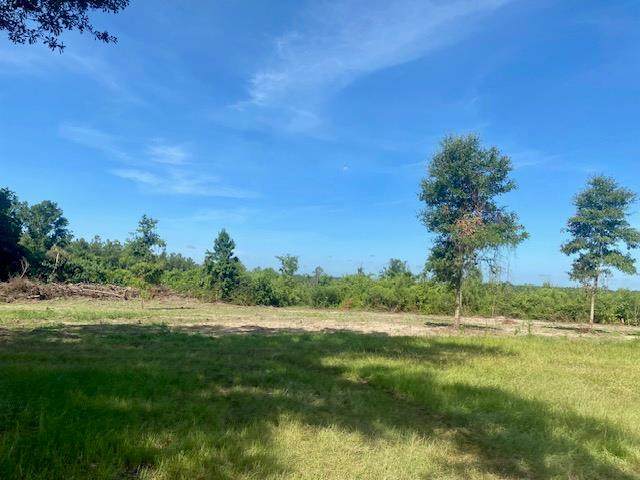 00 Dewitt Lane - Photo 1