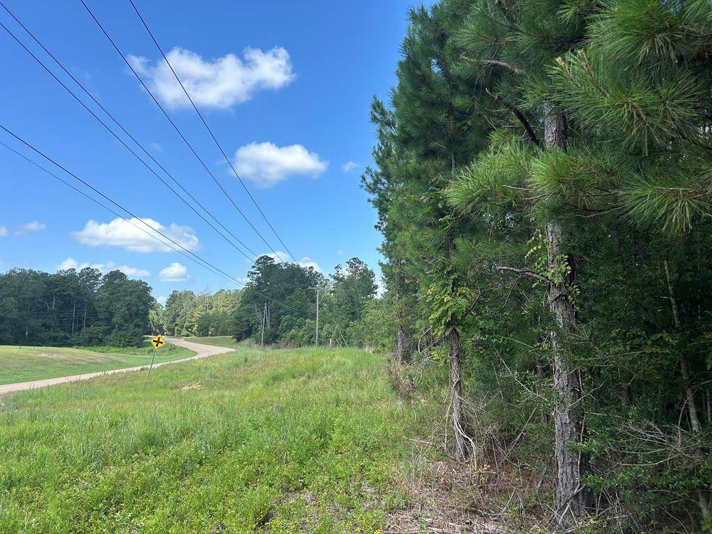 Tbd Hwy 570 - Photo 1