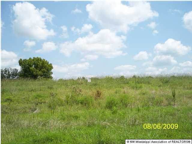 18 Byhalia Creek Farms Road - Photo 1
