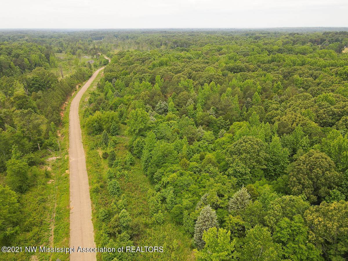 109 Poplar Lane - Photo 1