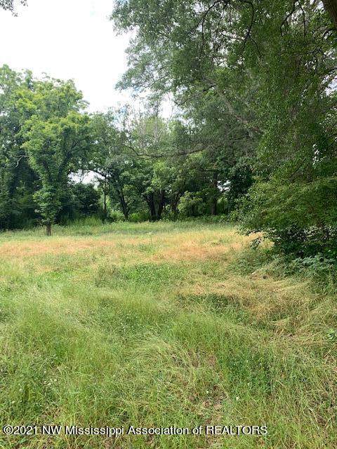 516 Strayhorn Street - Photo 1