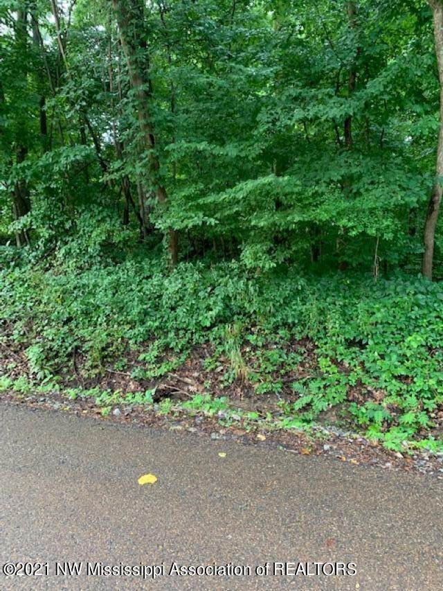 11529 High Road - Photo 1