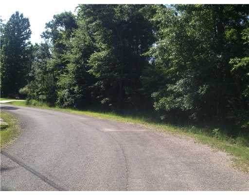 2916 Hickory Lane - Photo 1