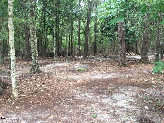 000 Mohonua Place - Photo 1