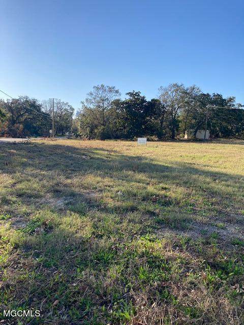 205 Courthouse Road - Photo 1