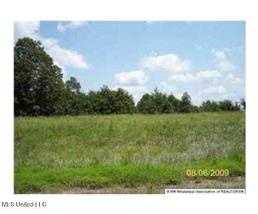 217 Byhalia Creek Farms Road - Photo 1