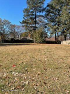 105 Ridgecrest Drive - Photo 1