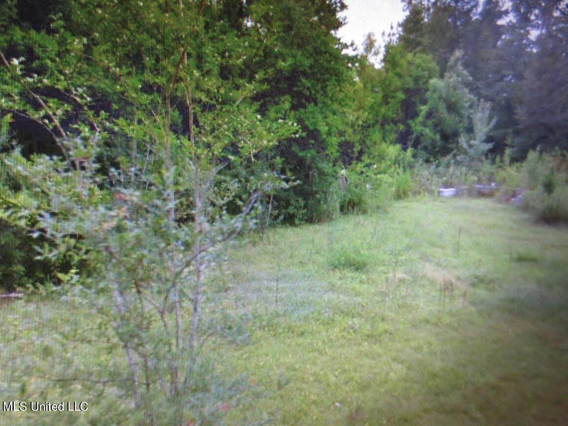 6039 Youpon Drive - Photo 1