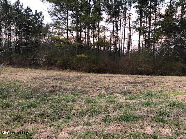 000 Sylveria Avenue - Photo 1