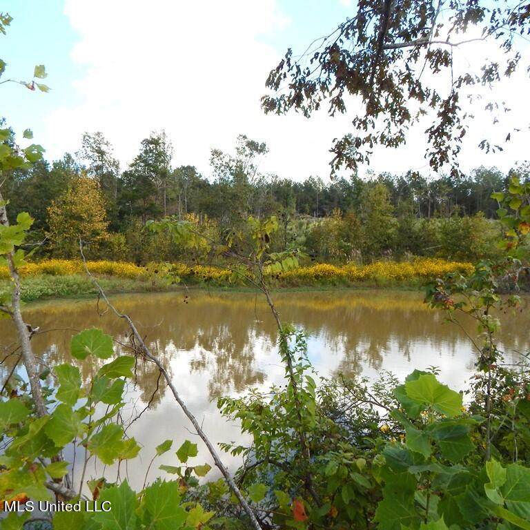 4000 Paul - Shady Grove Road - Photo 1