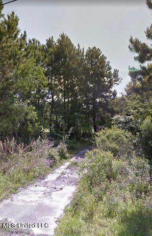 6002 Lepoma Avenue - Photo 1