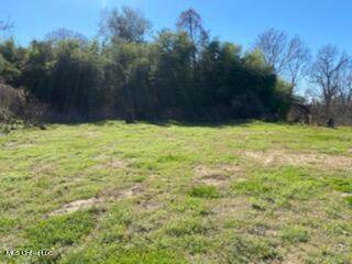 122 Alfred Drive Drive - Photo 1