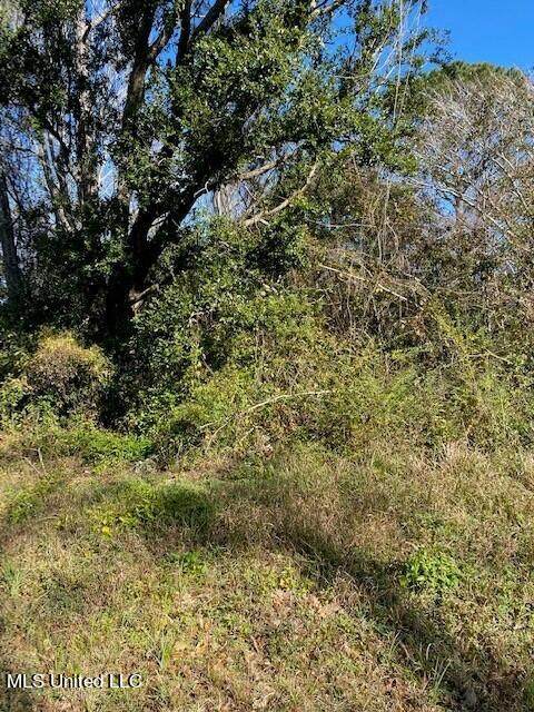 48th Avenue - Photo 1