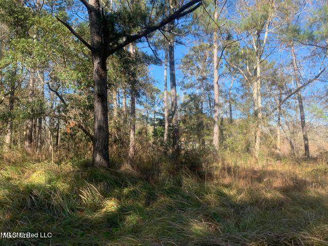 Sand Pine Cove - Photo 1