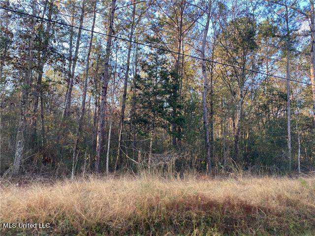 9049 Mclaurin Street - Photo 1